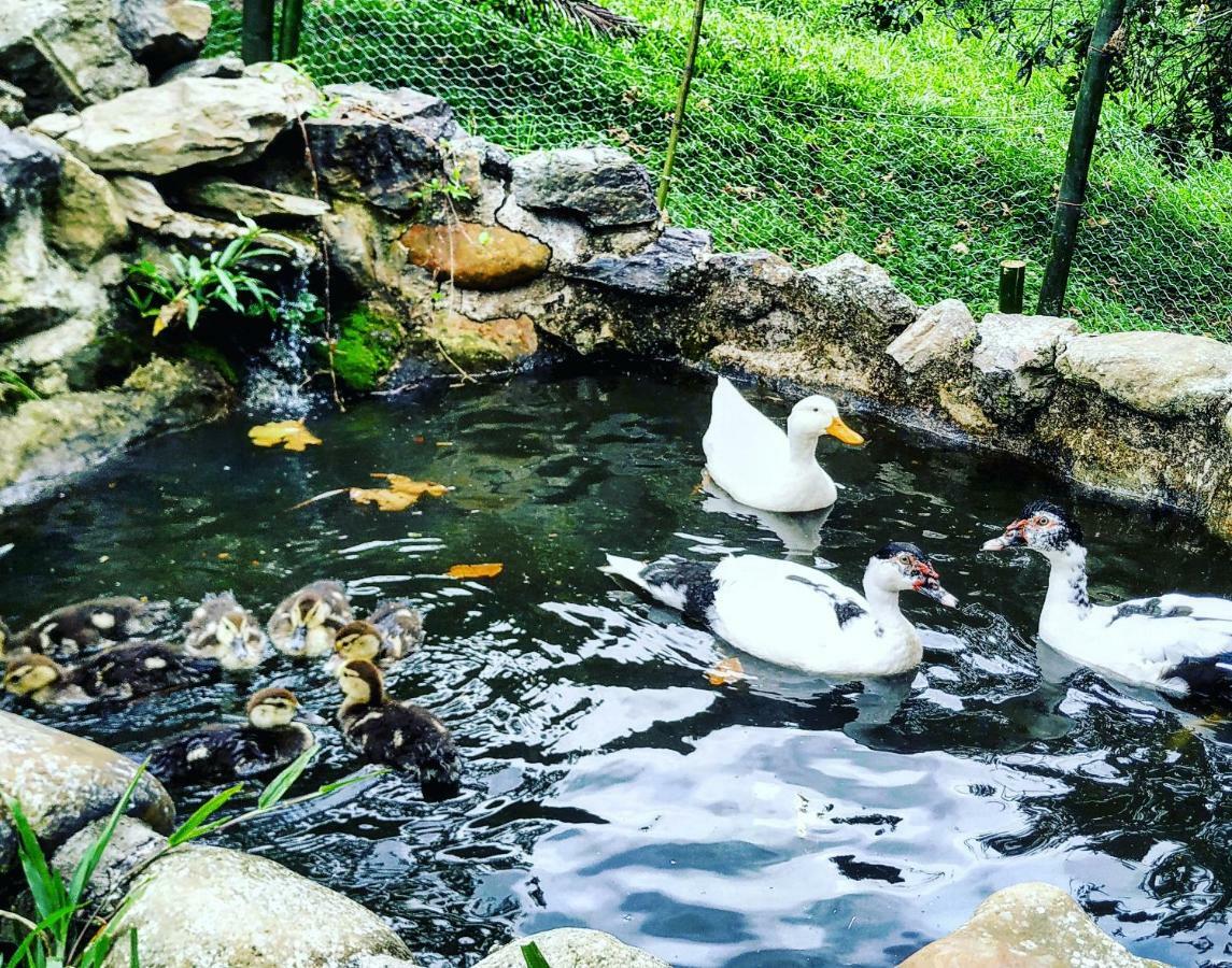 Duck House Ξενοδοχείο La Vega  Εξωτερικό φωτογραφία